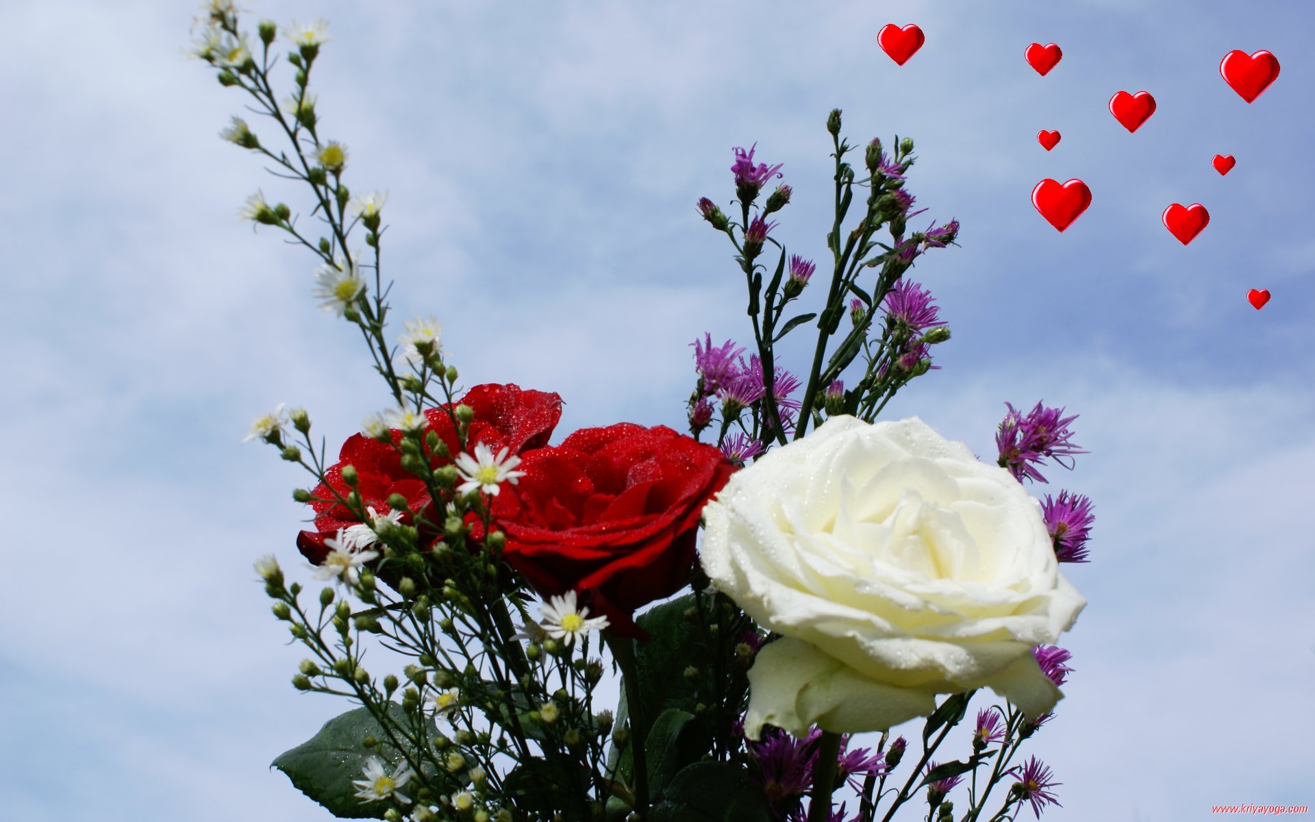 Valentine Wallpaper Love Hearts Roses