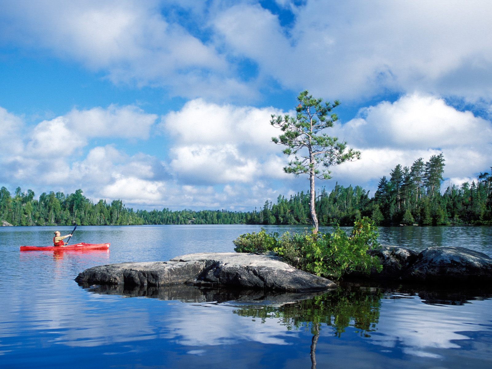 In Boundary Waters Canoe Area Wilderness Minnesota X Picture