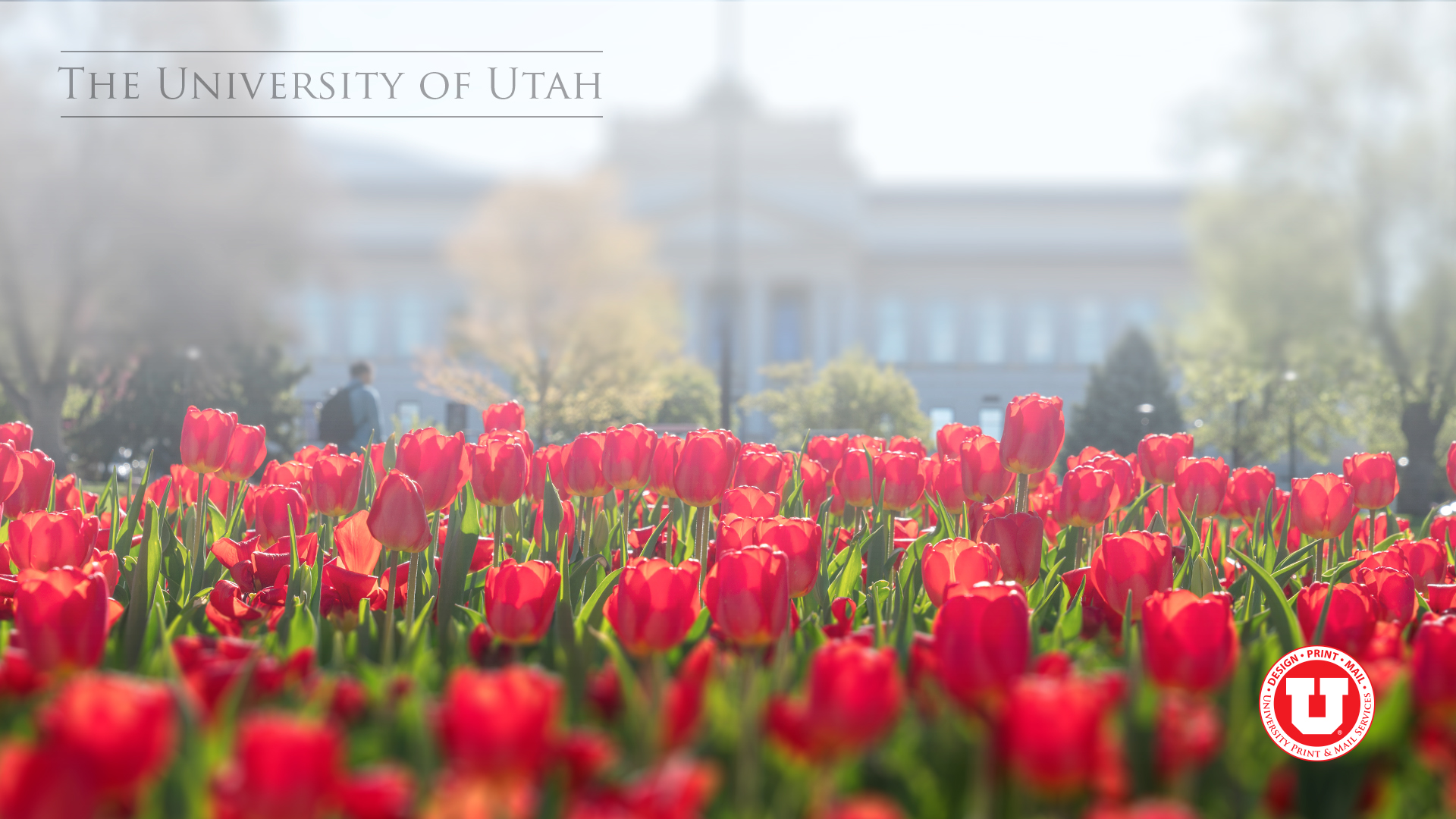 Spring Themed Zoom Background Theu