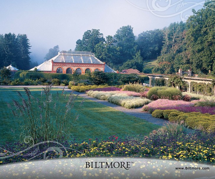 Biltmore Jardin Clos Wallpaper
