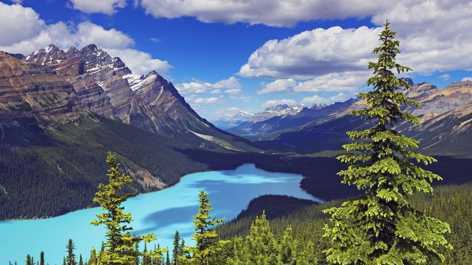 Paysages Montagnes Alberta Canada Wallpaper