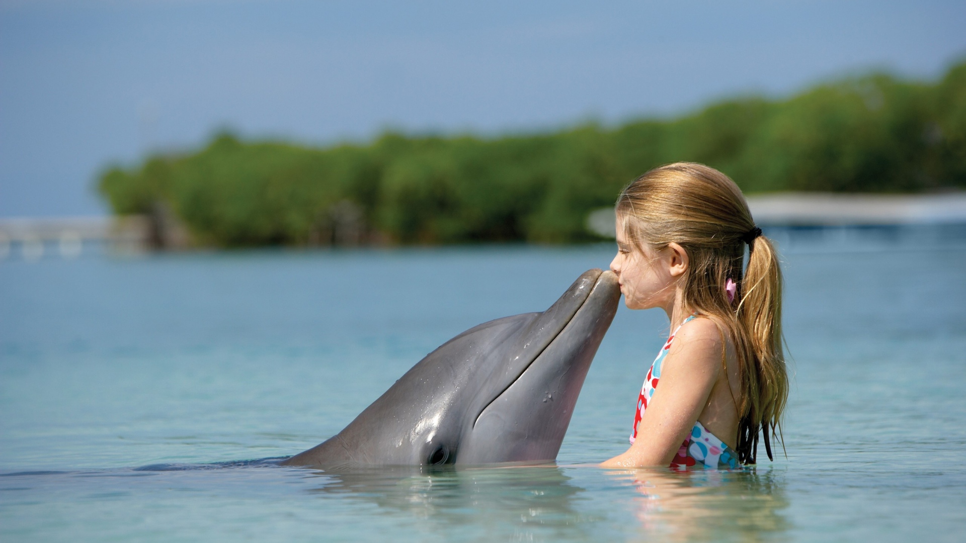 Wallpaper Girl Child Dolphin Sea Full HD 1080p
