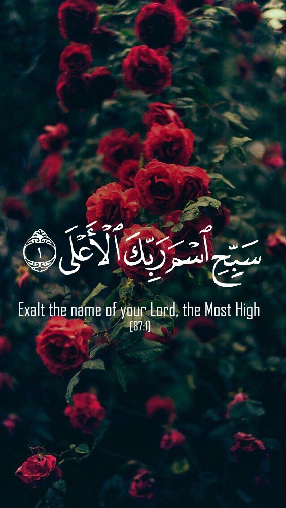 Islamic Wallpaper iPhone iPhone6 Quran Islam