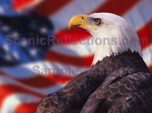 Of July America American Animated Wallpaper Desktop