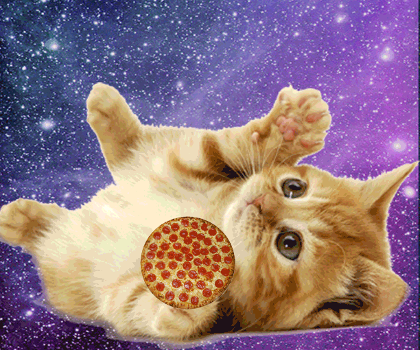 28 Pizza Themed Gifs That Will Restore Your Faith In