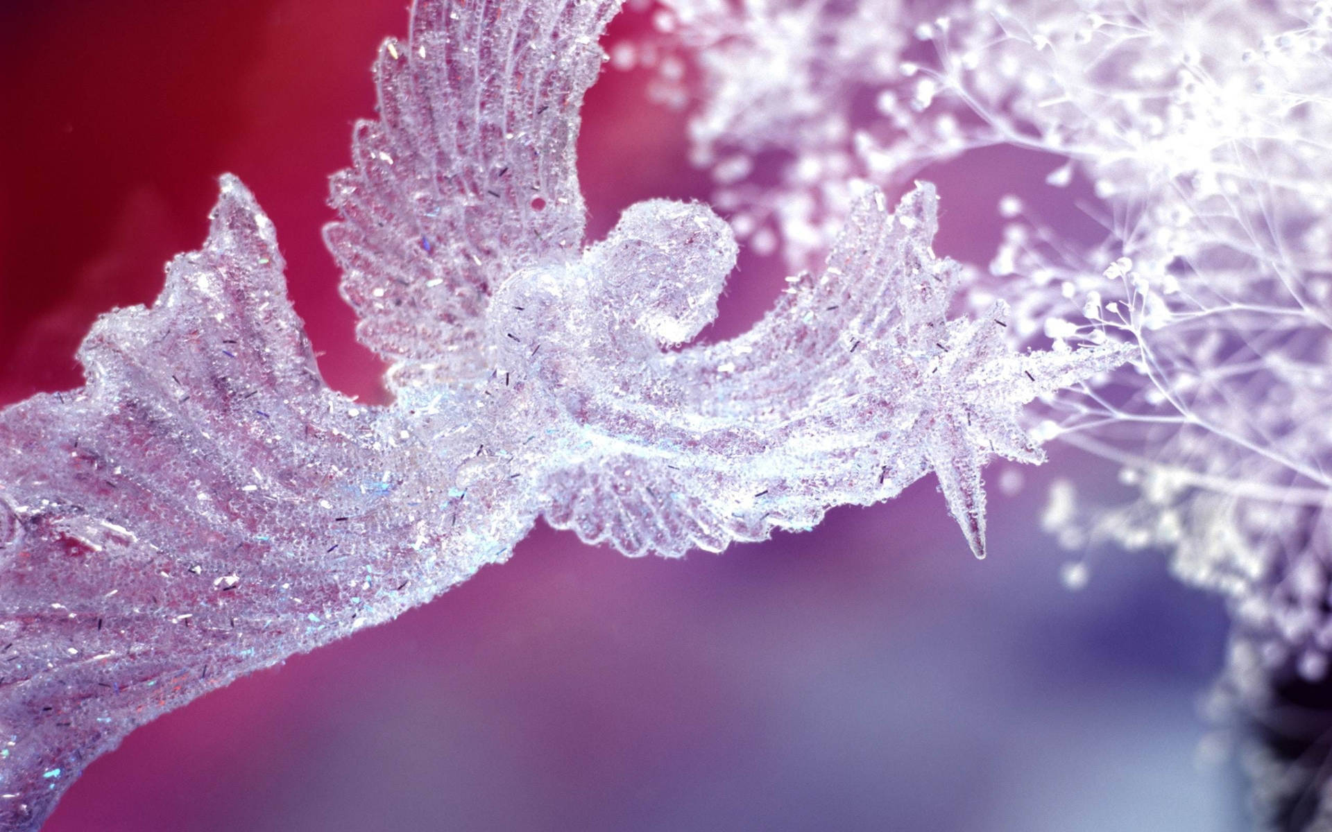 Christmas Angels Wallpaper