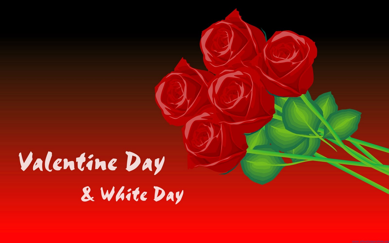 Beautiful Valentine S Day Hq Image E Cards And Wallpaper