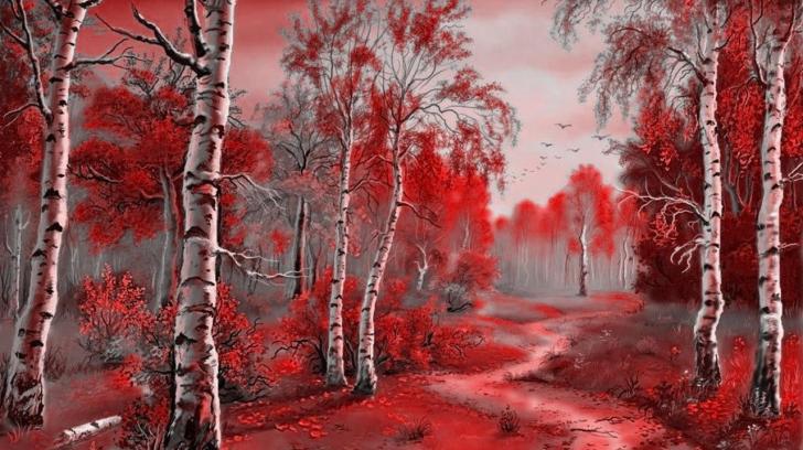 Red Forest High Quality And Resolution Wallpaper On