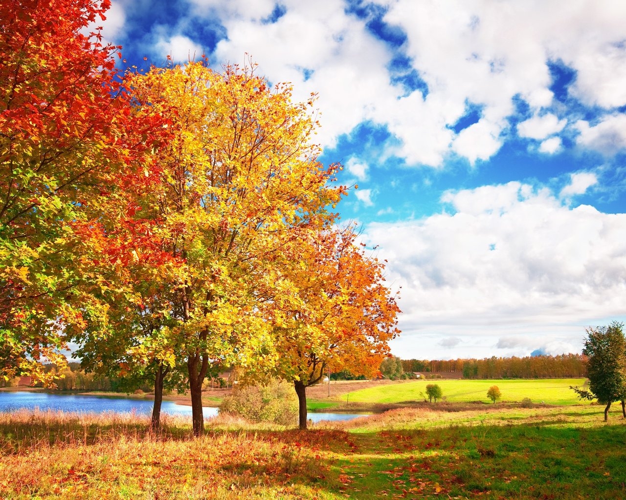 Sunny Autumn Day Desktop Wallpaper