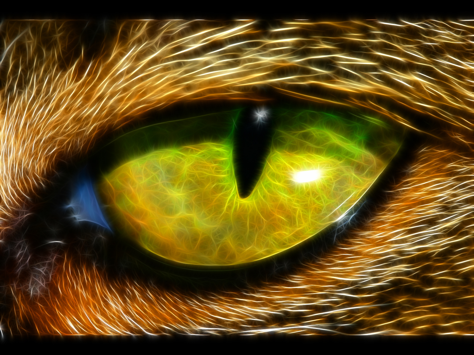 Eye Computer Wallpaper Desktop