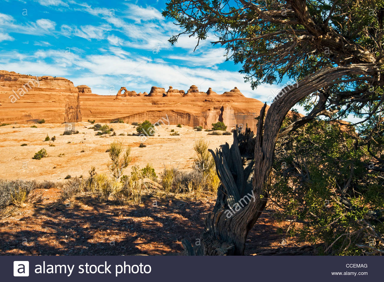 Arches Moab Utah A Landscape With The Delicate Arch In