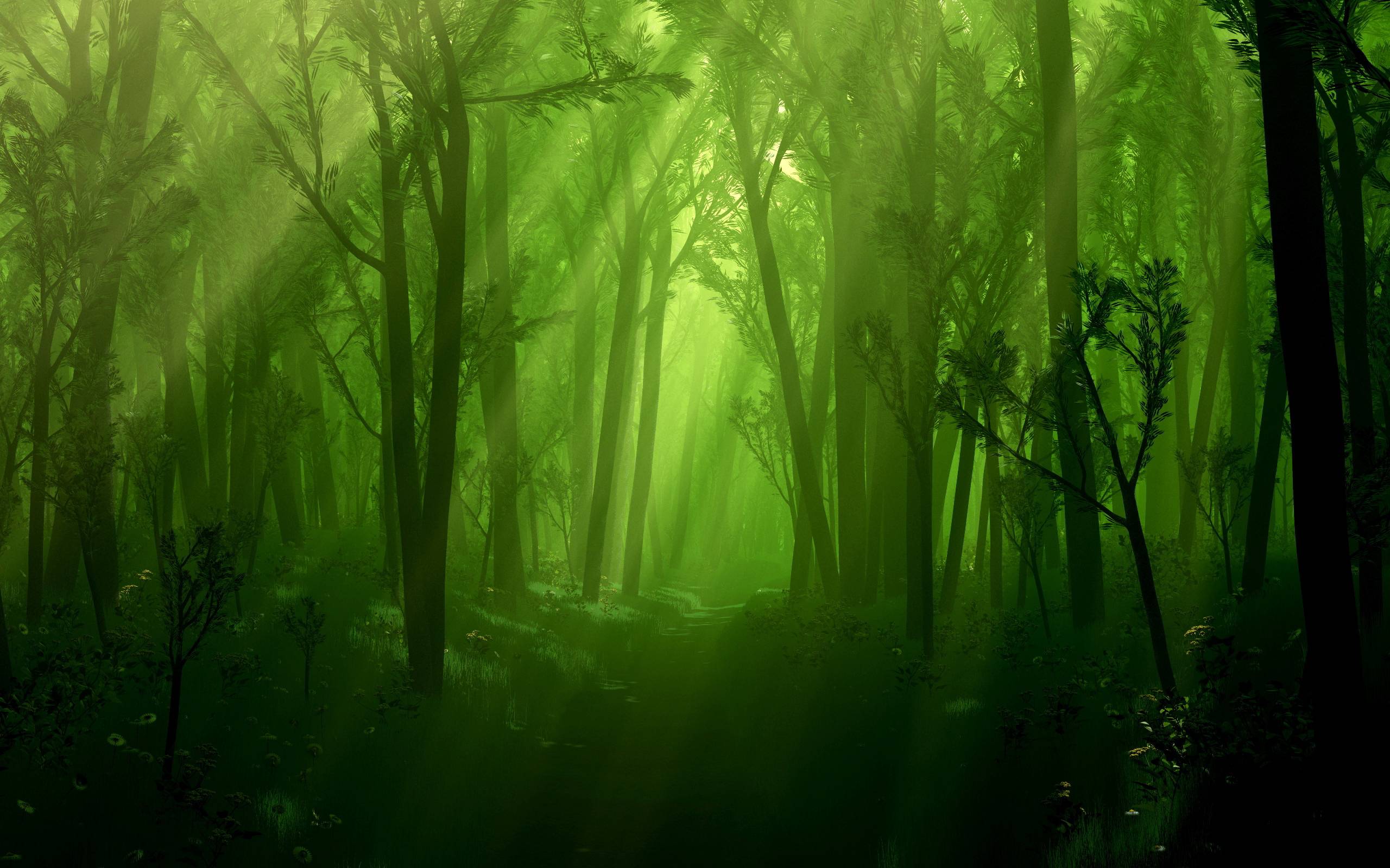 Magical Forest Wallpapers   Top Free Magical Forest Backgrounds