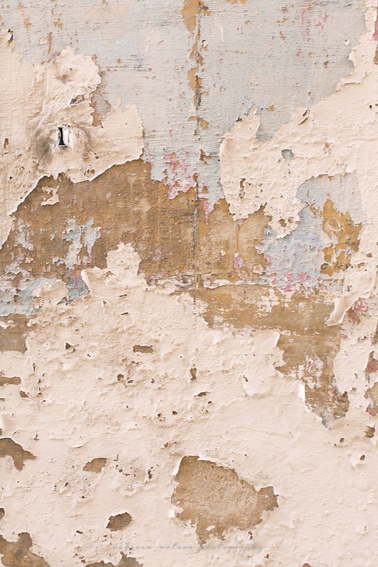 Pink Textured Wall With Image Background Abstract