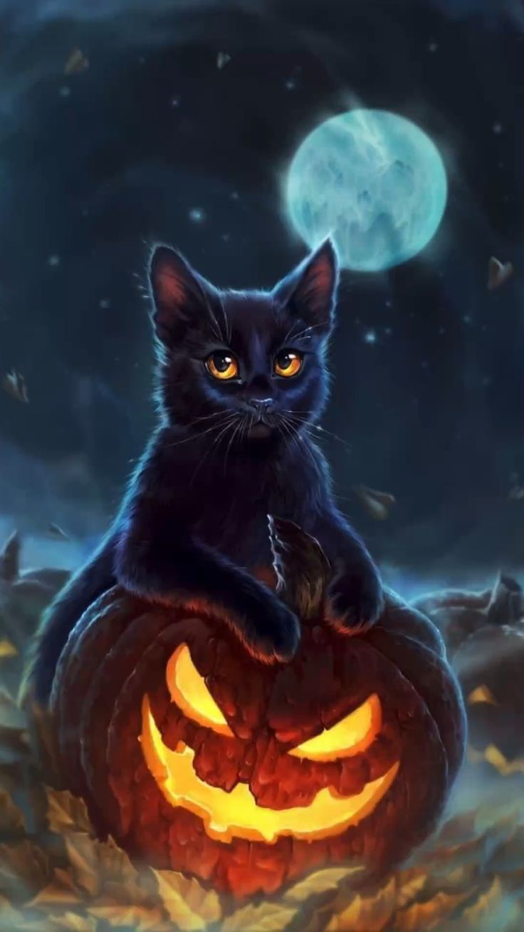 Story Pin Image Wallpaper