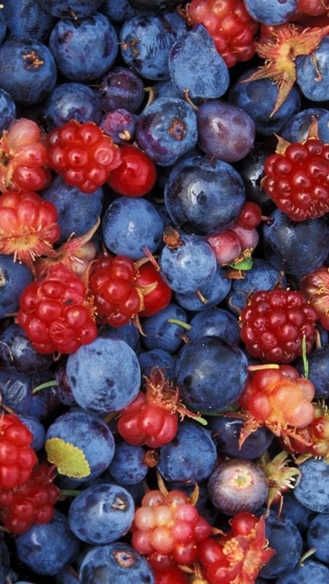 Alaska Wild Berries Background For iPhone HD