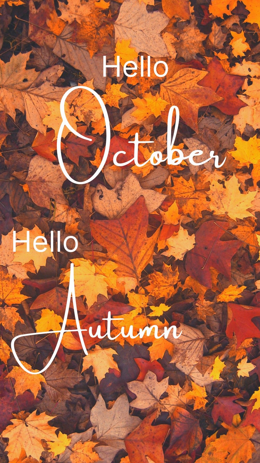 🔥 Free Download Hello October Wallpaper Autumn by bryanwilson