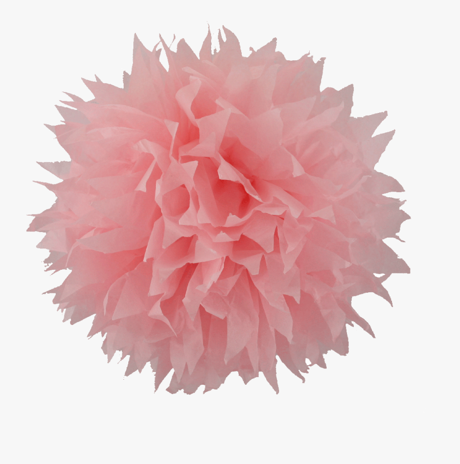 Pom Image In Collection Transparent Background