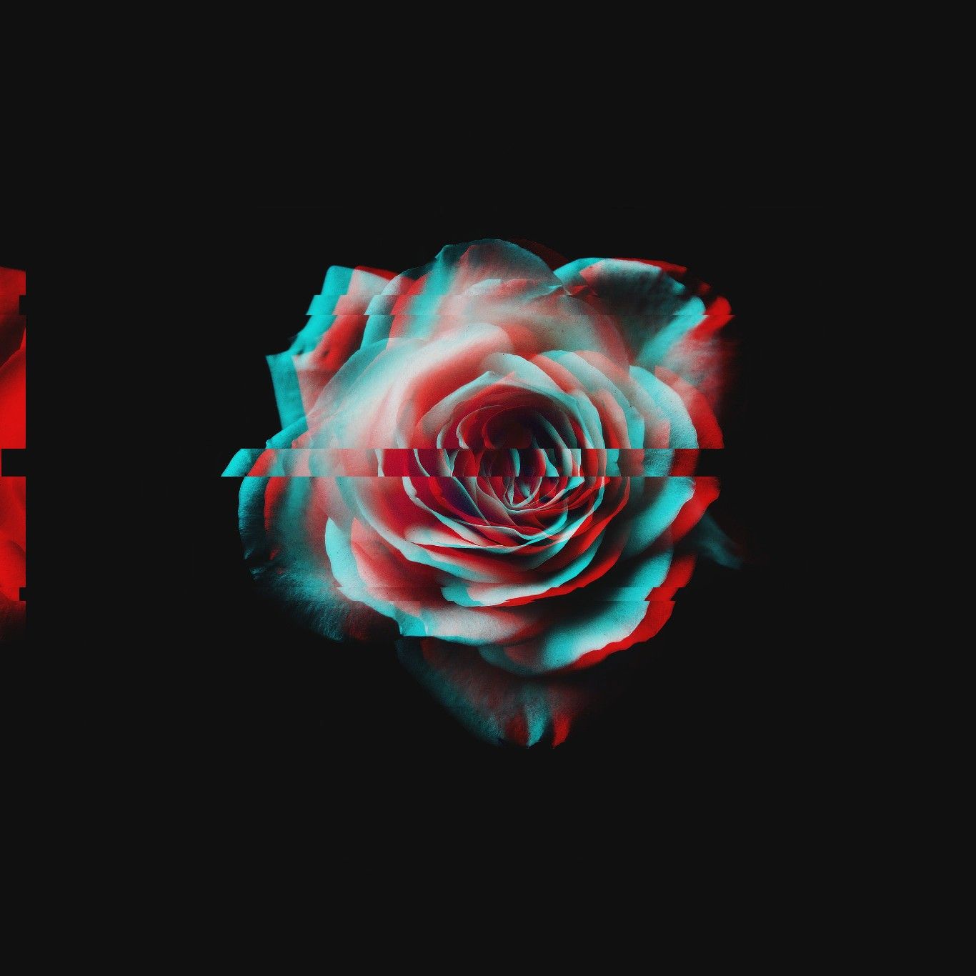 Glitch Rose Amoled Glitch wallpaper Aesthetic roses Rose wallpaper