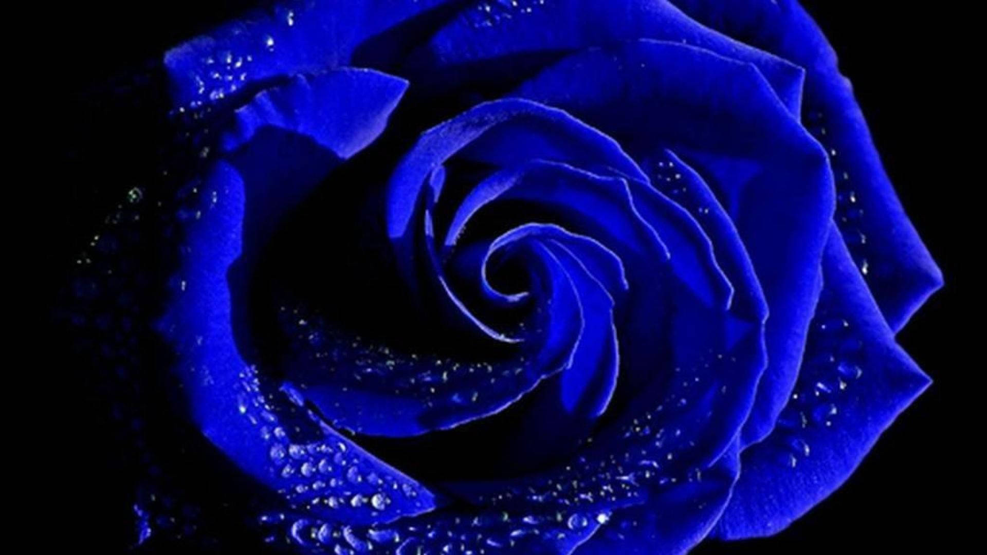 Indigo Aesthetic Wallpaper