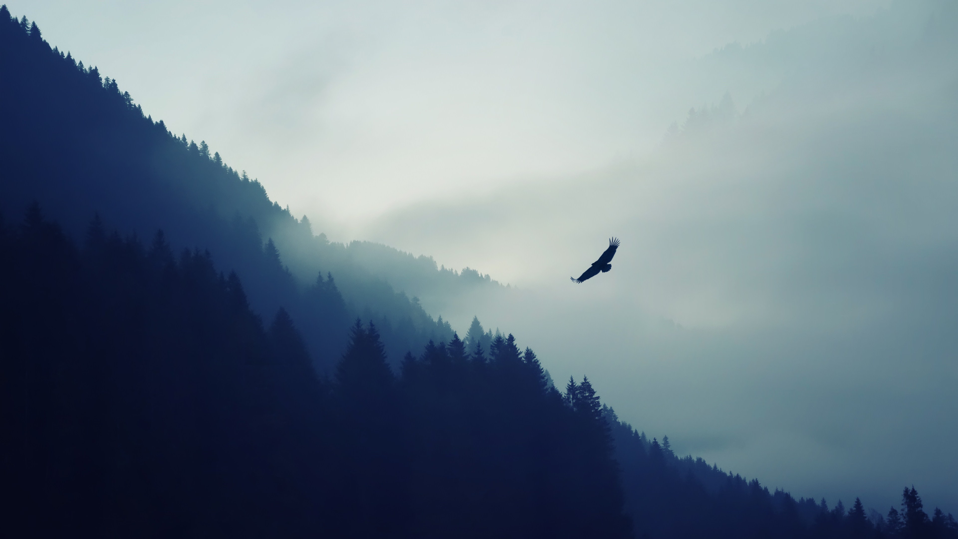 Mountain Eagle Fog Landscape UltraHD 4k Wallpaper Background