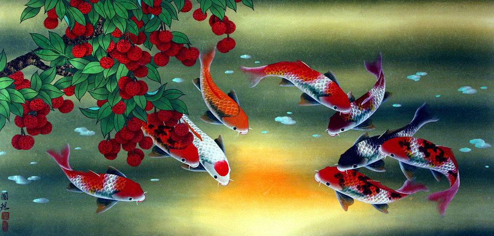 Koi Fish With Berries Wallpaper