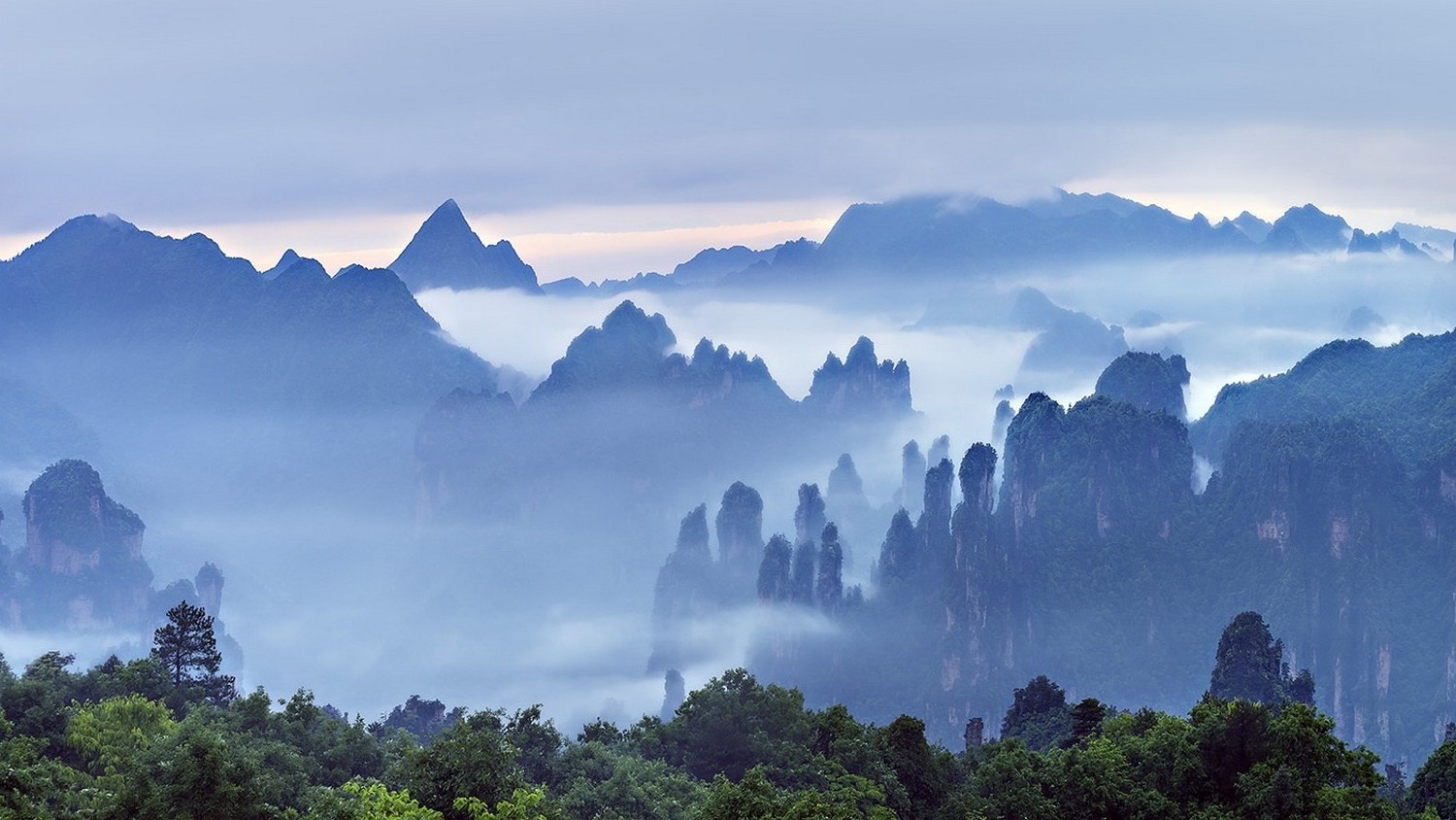 Nature Landscape Morning Mist Mountains Forest Clouds