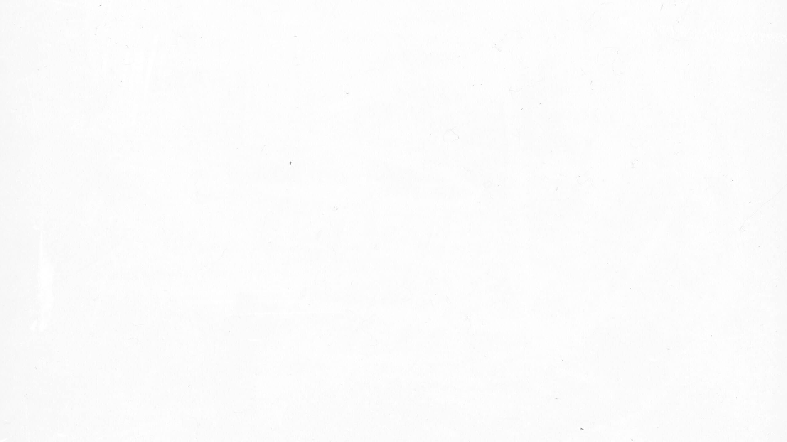 Wb White Bg Wallpaper