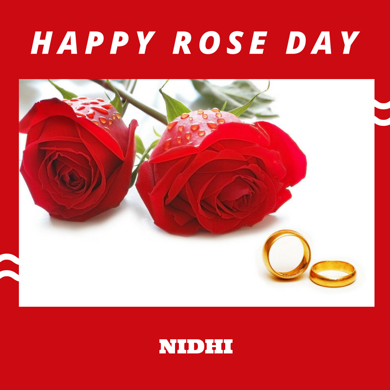 Happy Rose Day Nidhi Name Wallpaper