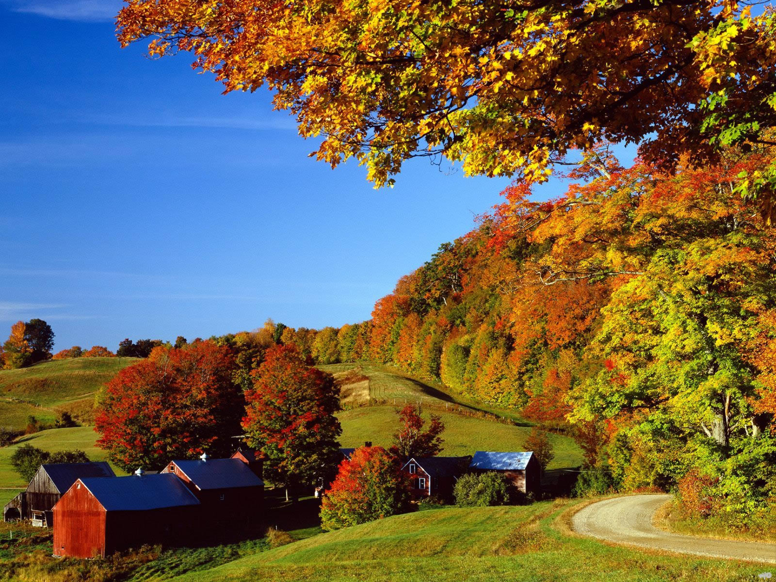 Woodstock In Autumn Vermont Nature Wallpaper Image Featuring