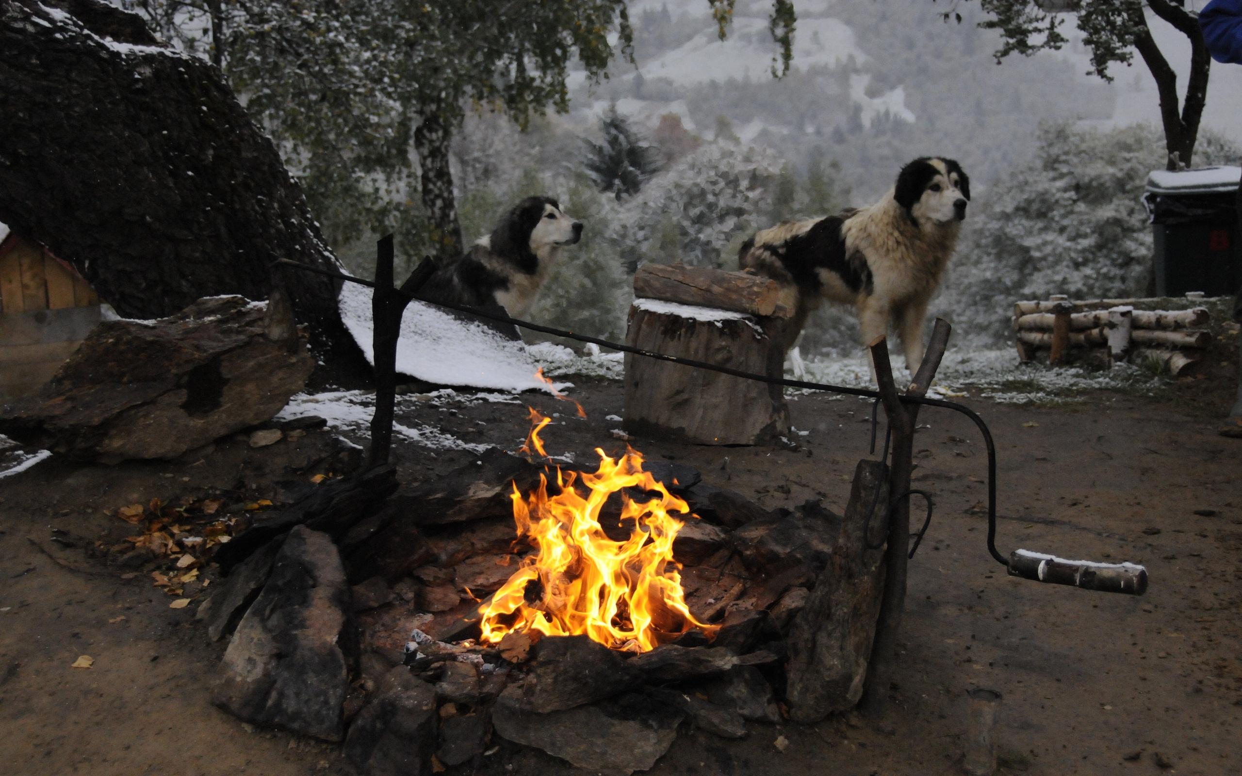Romanian Winter With Camp Fire HD Wallpaper