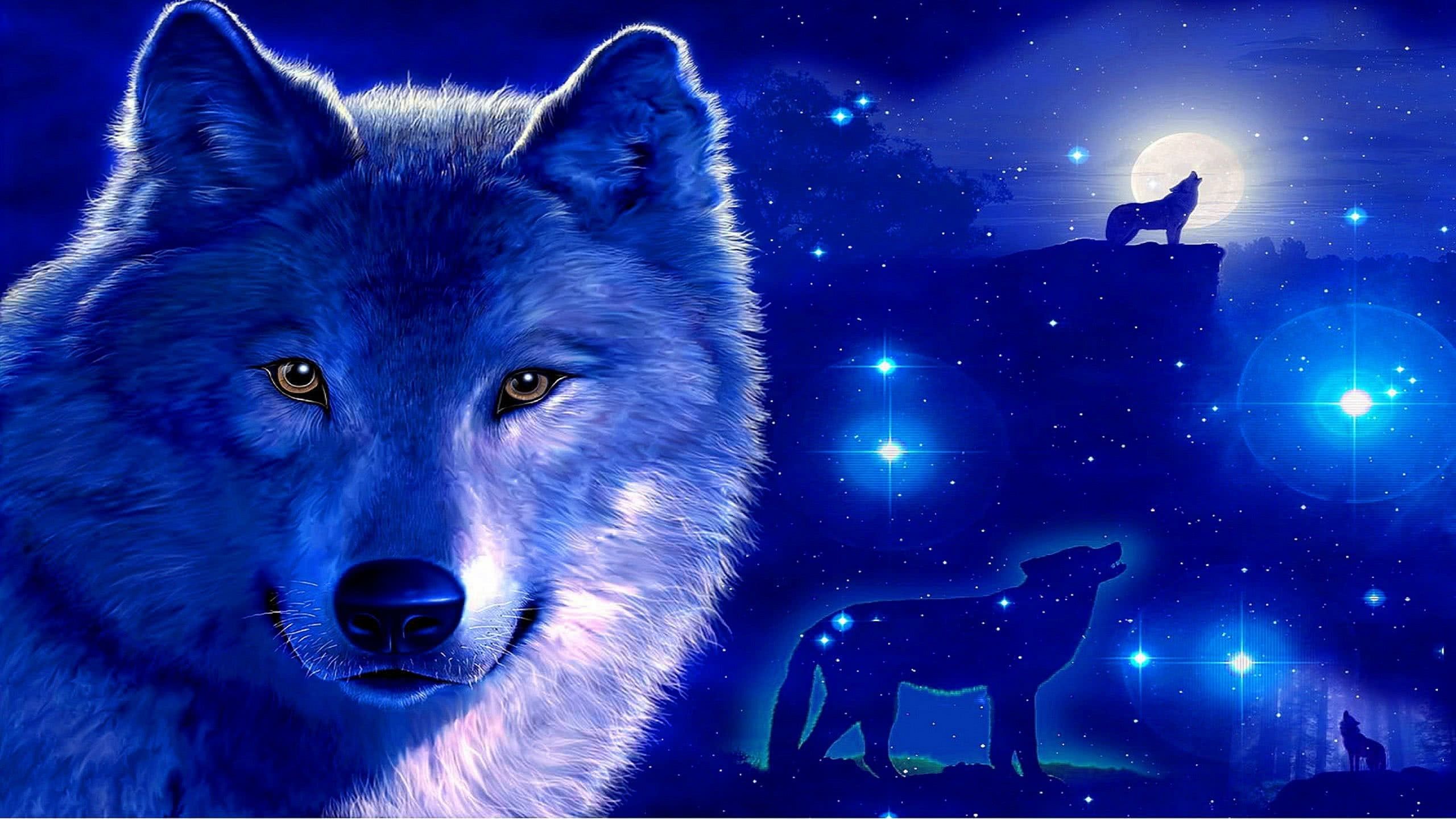 Blue Wolf Background Wallpaper