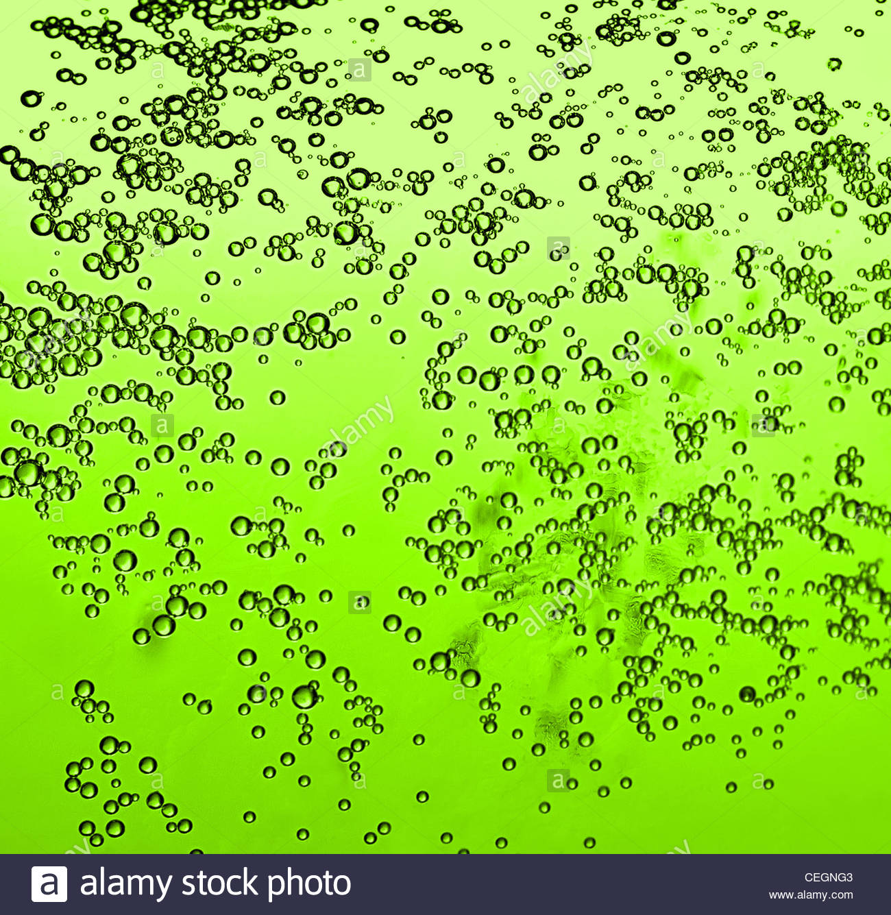 Abstract Beer Background Green Irish Alcohol With Bubbles