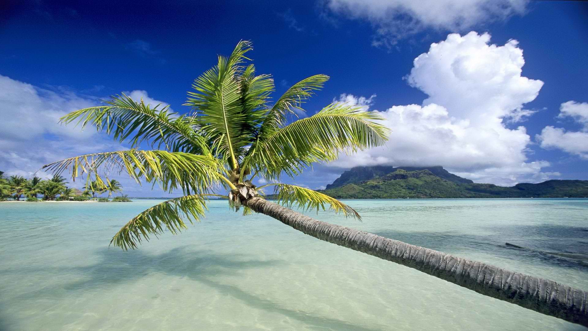 World Tropical Wallpaper 1920x1080 World Tropical Escape French