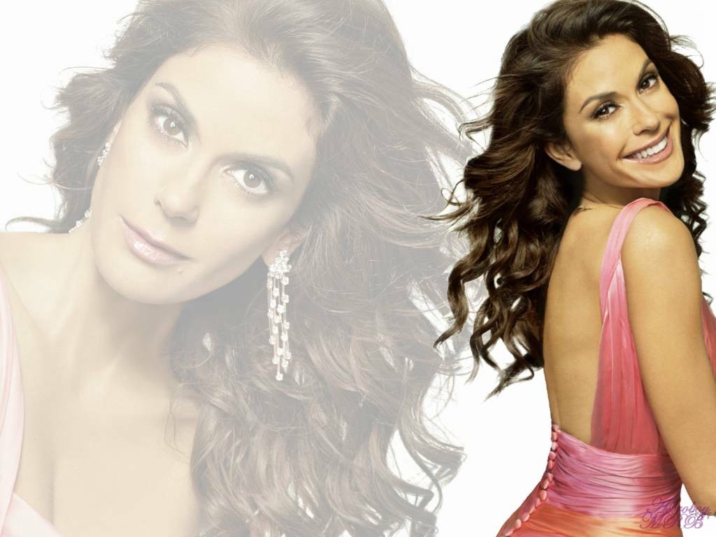 Teri Hatcher Wallpaper Photos Image Pictures