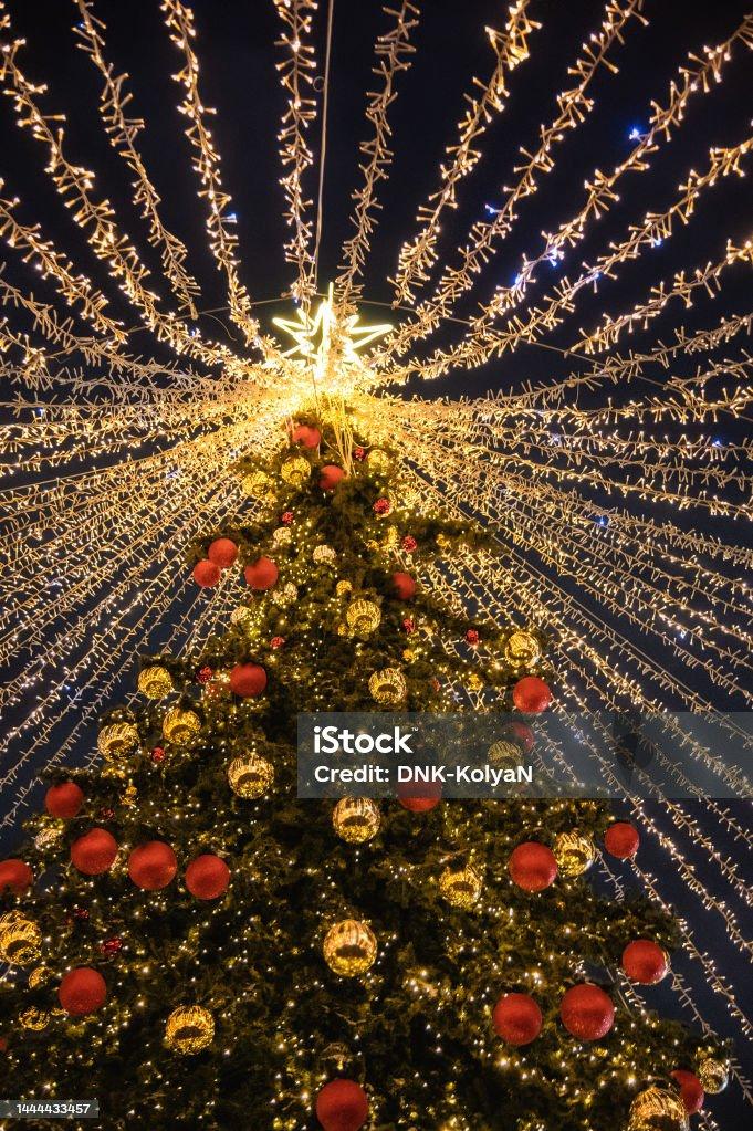 Moscow Russia January Big Christmas Tree New Year