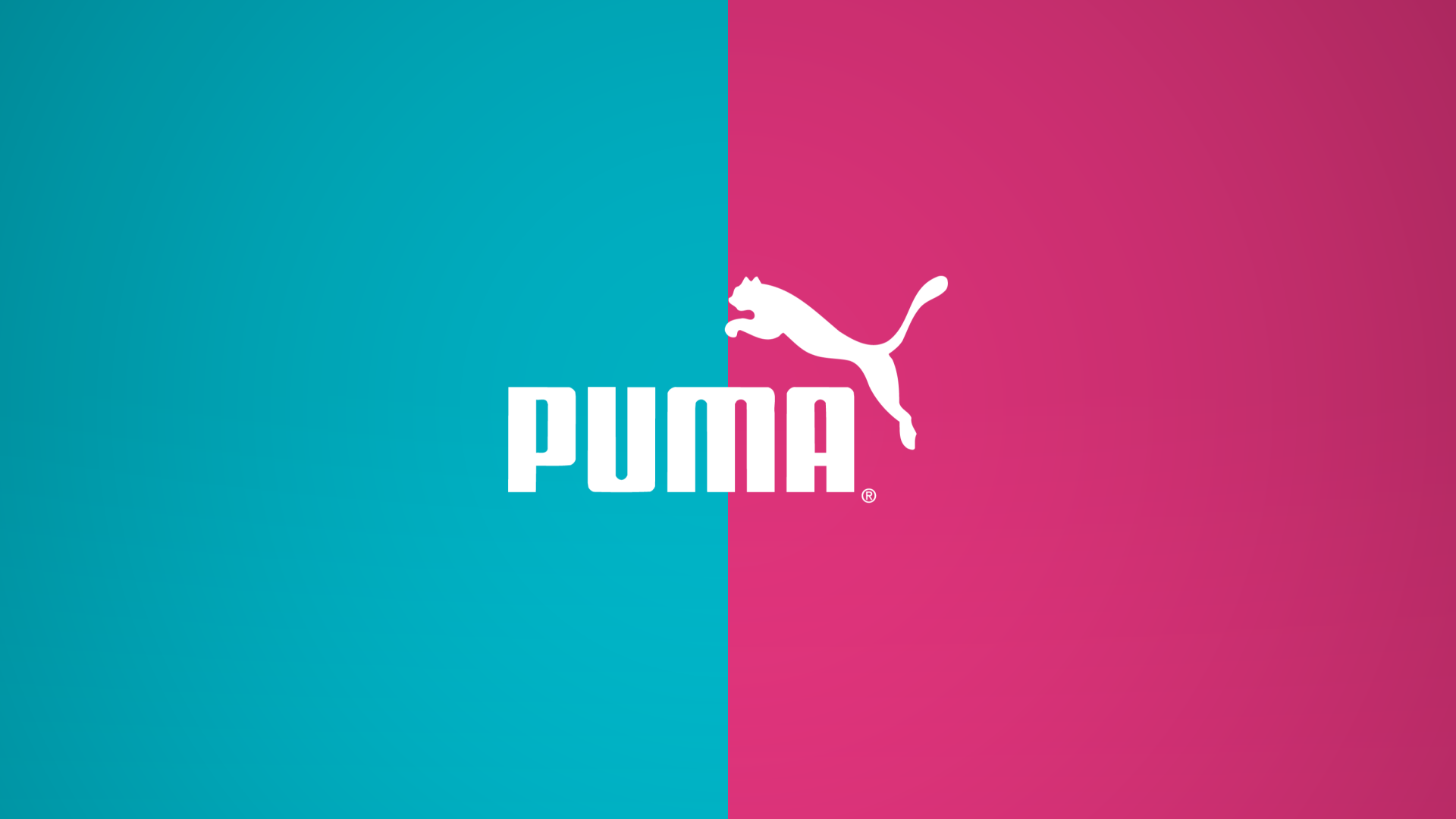 Beautiful Puma Wallpaper Full HD Pictures