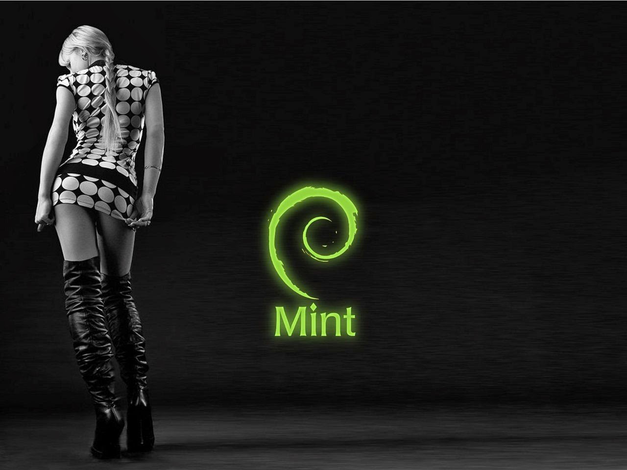 Linux Mint HD Wallpaper