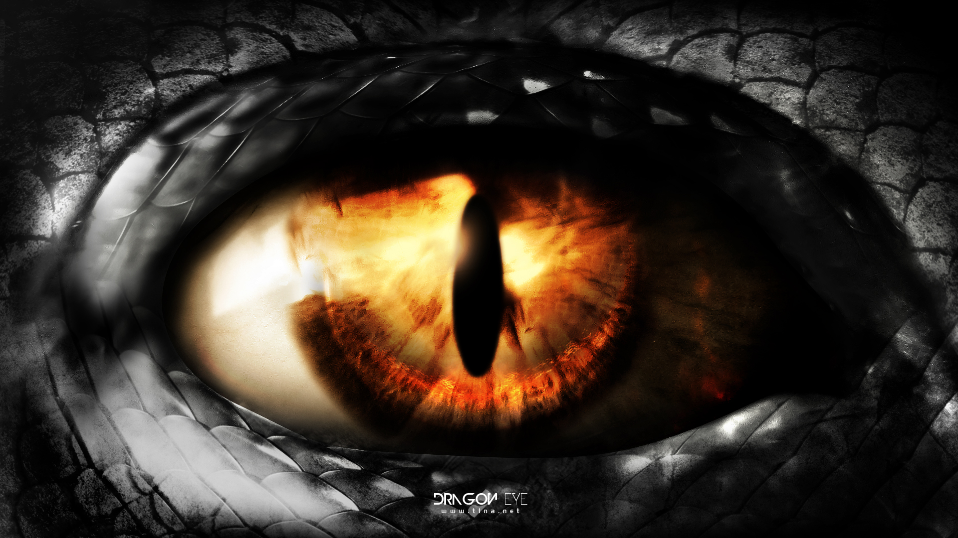 Dragon Eye By T1na