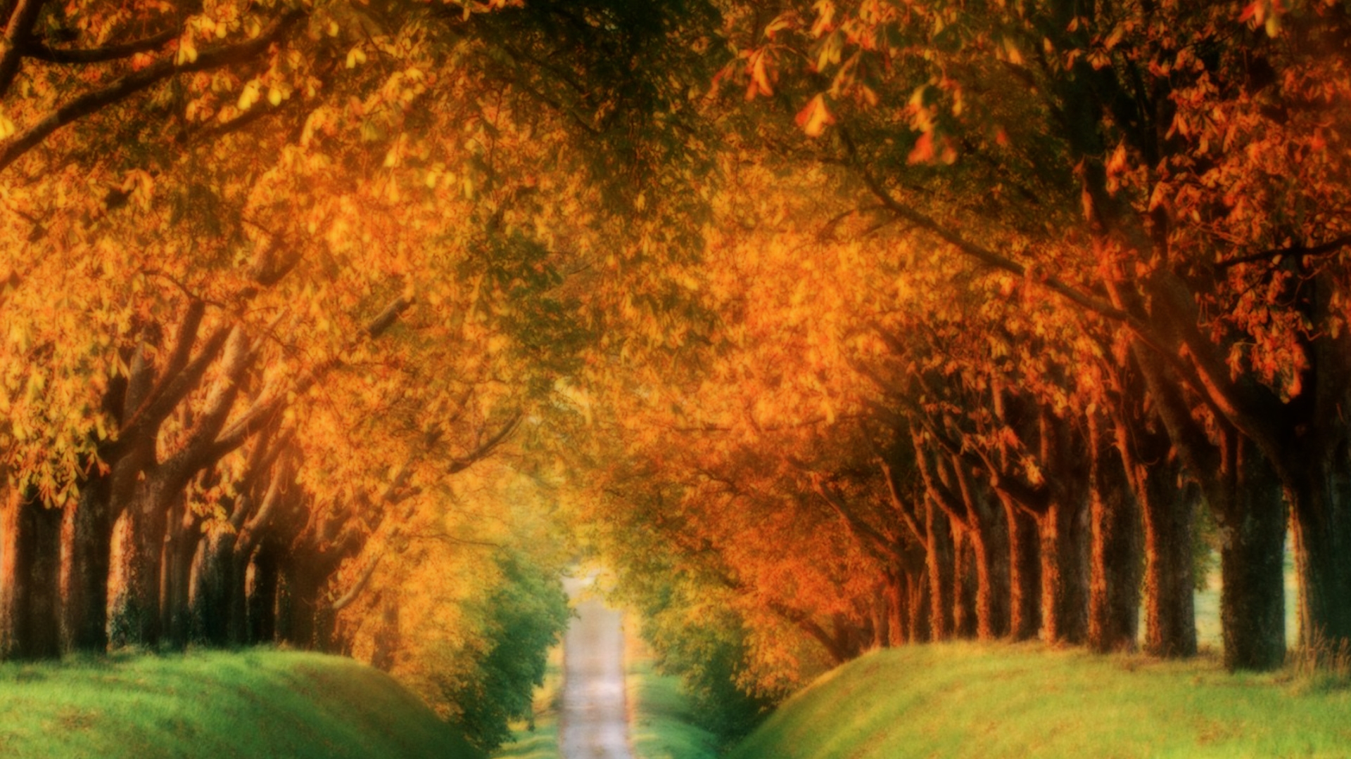 Fall Autumn Desktop Wallpaper
