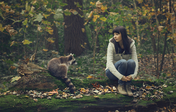 Wallpaper The Pany Raccoon Girl Forest Situations