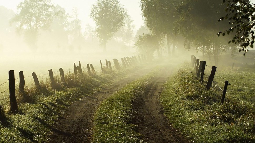 Country Backroad Wallpaper Morning Fog On A