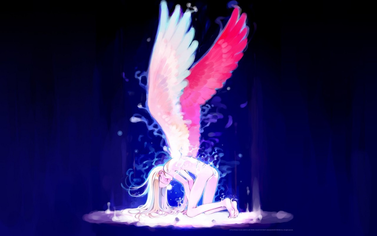 wallpaper anime angel