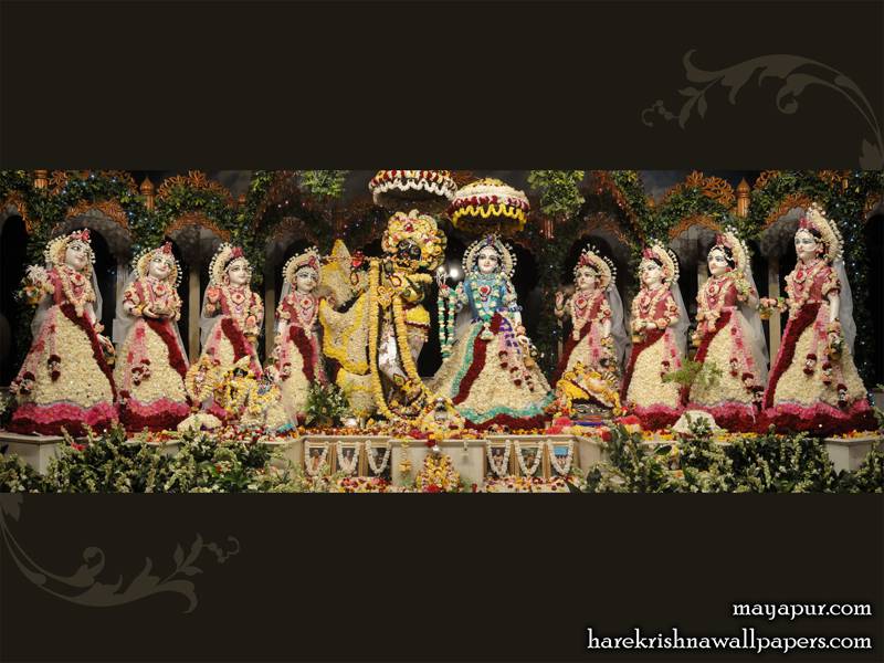 With Asta Sakhi Wallpaper In Flower Garland Hare Krishna
