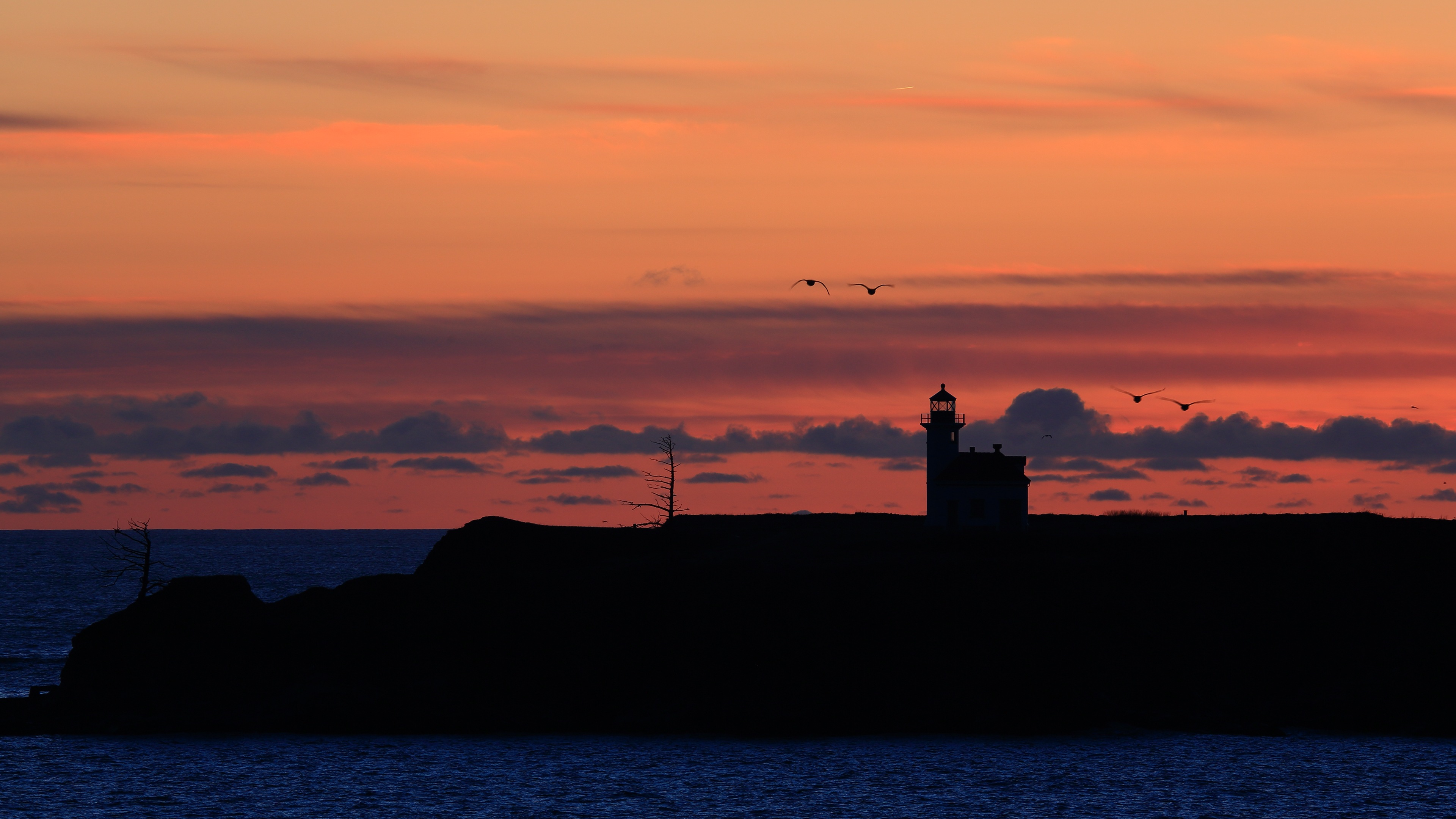 Ocean Lighthouse Sunset Seagulls 4k Ultra HD Desktop Wallpaper