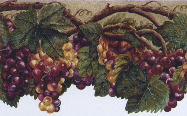 Details About Wallpaper Border Tuscan Grape Leaves Purple Grapes