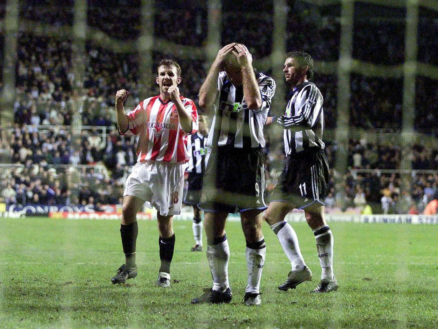 Newcastle United Fc Wallpaper