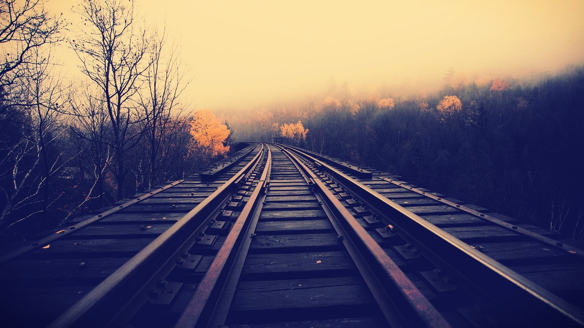 Vintage railroad tracks leading into a misty autumn forest