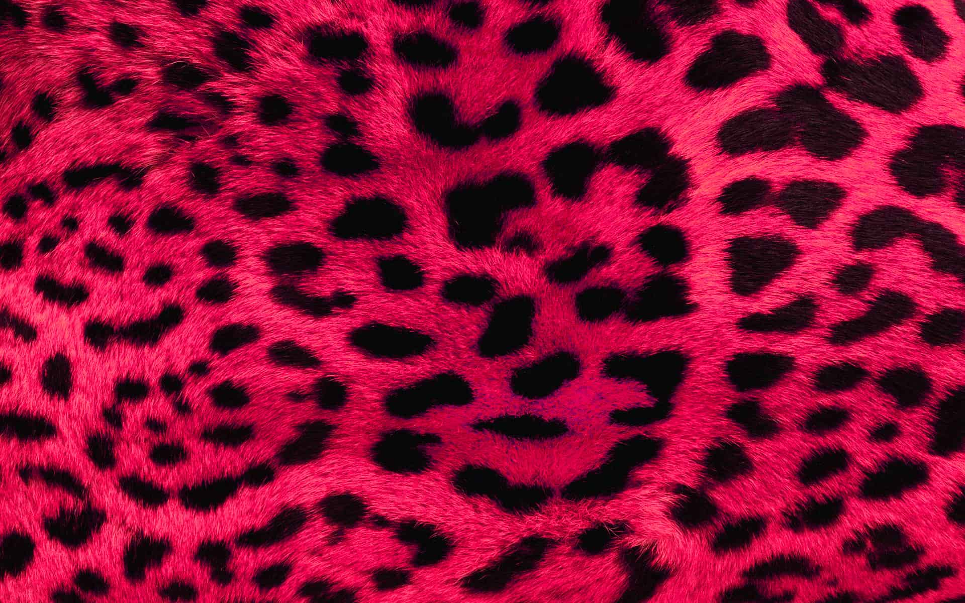 Animal Print Background Wallpaper