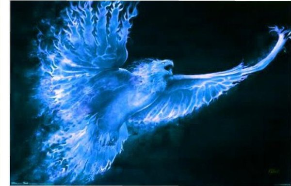 Blue Phoenix Wallpaper Karasu The By