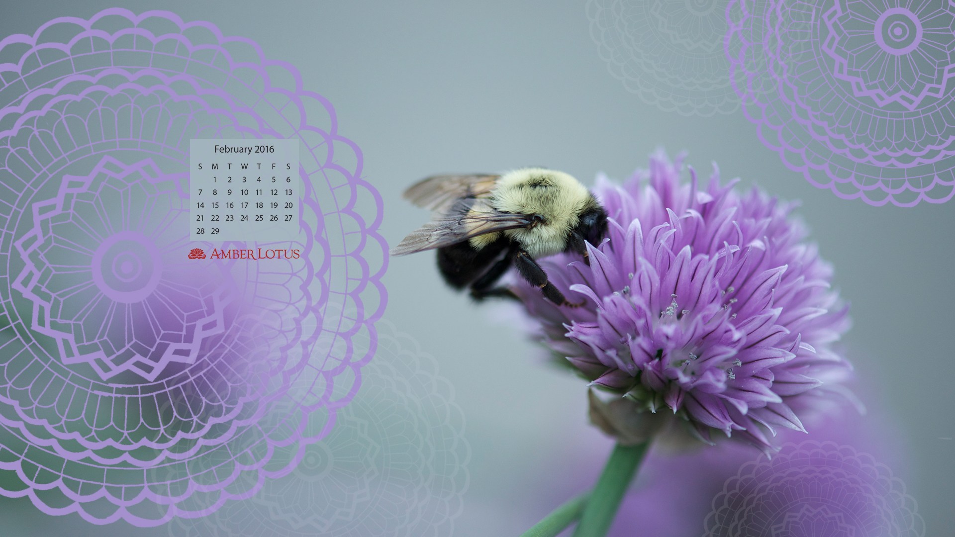 Desktop Wallpaper Calendar February To